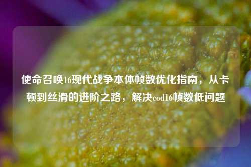 使命召唤16现代战争本体帧数优化指南，从卡顿到丝滑的进阶之路，解决cod16帧数低问题