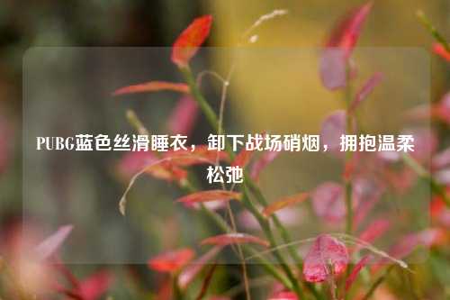 PUBG蓝色丝滑睡衣,卸下战场硝烟,拥抱温柔松弛
