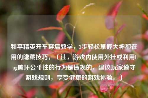 和平精英开车穿墙教学,3步轻松掌握大神都在用的隐藏技巧,(注,游戏内使用外挂或利用bug破坏公平性的行为是违规的,建议玩家遵守游戏规则,享受健康的游戏体验。)