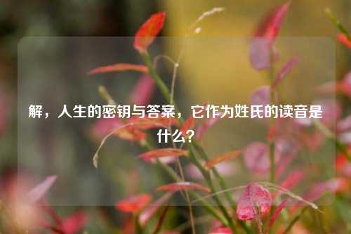 解,人生的密钥与答案,它作为姓氏的读音是什么?