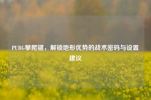 PUBG攀爬键,解锁地形优势的战术密码与设置建议