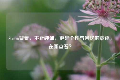 Steam背景,不止装饰,更是个性与回忆的载体,在哪查看?