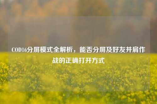 COD16分屏模式全解析,能否分屏及好友并肩作战的正确打开方式