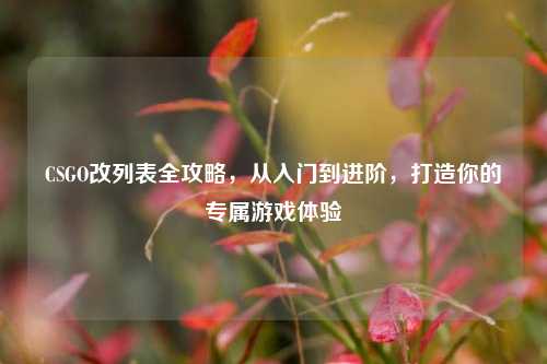 CSGO改列表全攻略,从入门到进阶,打造你的专属游戏体验
