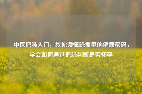 中医把脉入门,教你读懂脉象里的健康密码,学会如何通过把脉判断是否怀孕
