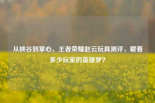 从峡谷到掌心,王者荣耀赵云玩具测评,藏着多少玩家的英雄梦?