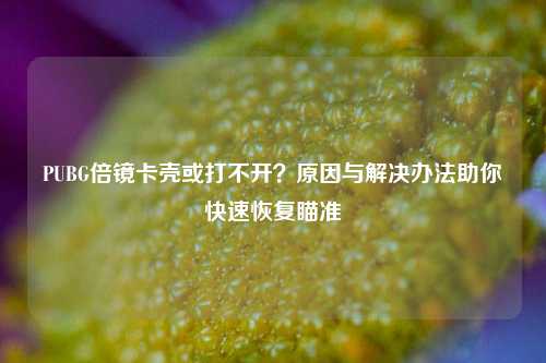 PUBG倍镜卡壳或打不开?原因与解决办法助你快速恢复瞄准