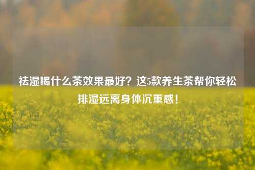 祛湿喝什么茶效果更好?这5款养生茶帮你轻松排湿远离身体沉重感!