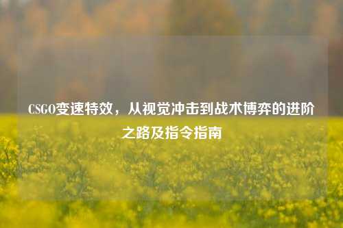CSGO变速特效,从视觉冲击到战术博弈的进阶之路及指令指南