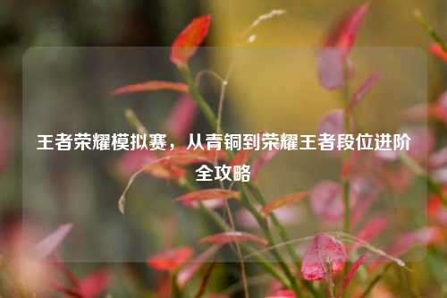 王者荣耀模拟赛,从青铜到荣耀王者段位进阶全攻略