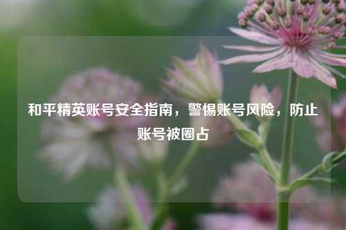 和平精英账号安全指南,警惕账号风险,防止账号被圈占