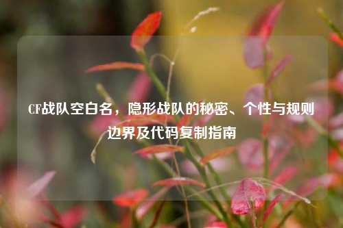 CF战队空白名,隐形战队的秘密、个性与规则边界及代码***指南