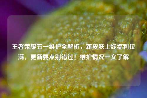 王者荣耀五一维护全解析,新皮肤上线福利拉满,更新要点别错过!维护情况一文了解