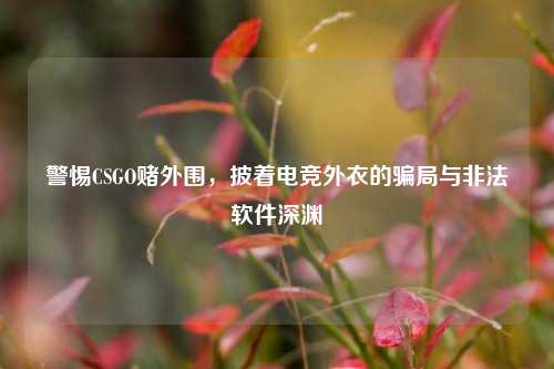 警惕CSGO赌外围,披着电竞外衣的骗局与非法软件深渊
