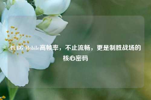 PUBG Mobile高帧率,不止流畅,更是制胜战场的核心密码