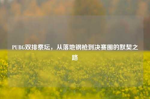 PUBG双排祭坛,从落地钢枪到决赛圈的默契之路