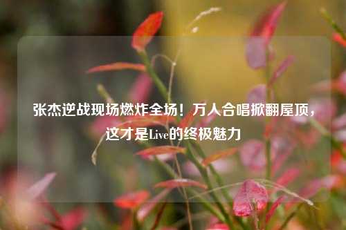 张杰逆战现场燃炸全场!万人合唱掀翻屋顶,这才是Live的终极魅力