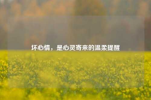 坏心情,是心灵寄来的温柔提醒