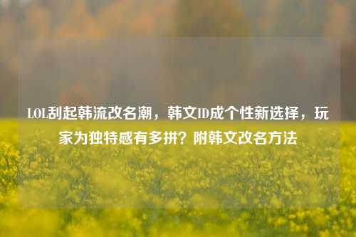 LOL刮起韩流改名潮,韩文ID成个性新选择,玩家为独特感有多拼?附韩文改名 ***