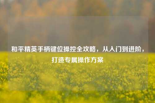 和平精英手柄键位操控全攻略,从入门到进阶,打造专属操作方案