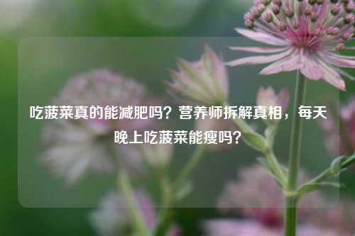 吃菠菜真的能减肥吗?营养师拆解真相,每天晚上吃菠菜能瘦吗?