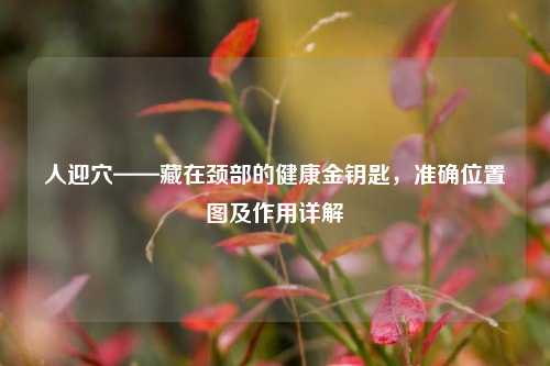 人迎穴——藏在颈部的健康金钥匙,准确位置图及作用详解