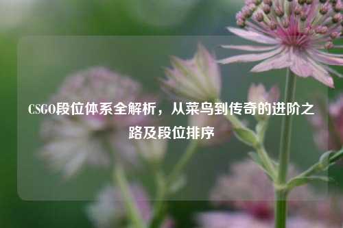 CSGO段位体系全解析,从菜鸟到传奇的进阶之路及段位排序
