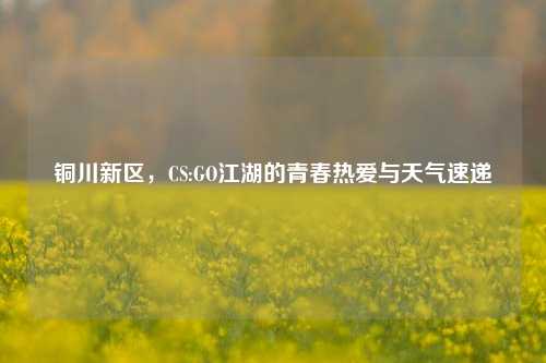 铜川新区,CS:GO江湖的青春热爱与天气速递