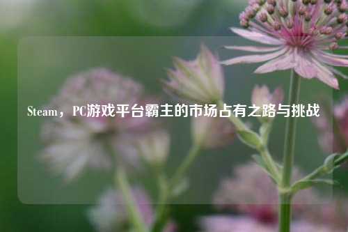 Steam,PC游戏平台霸主的市场占有之路与挑战