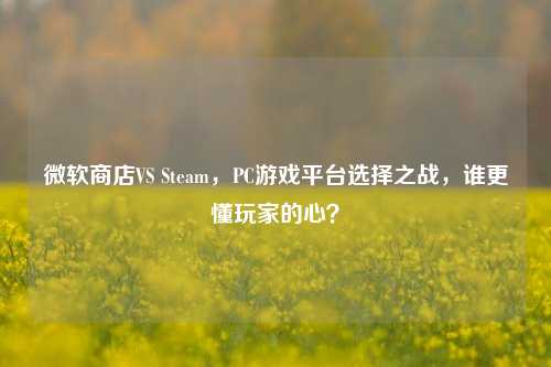 微软商店VS Steam,PC游戏平台选择之战,谁更懂玩家的心?