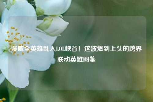 漫威全英雄乱入LOL峡谷!这波燃到上头的跨界联动英雄图鉴