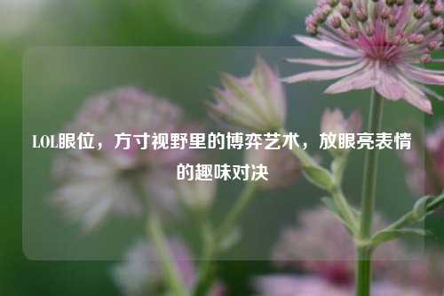 LOL眼位,方寸视野里的博弈艺术,放眼亮表情的趣味对决