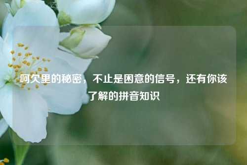 呵欠里的秘密,不止是困意的信号,还有你该了解的拼音知识
