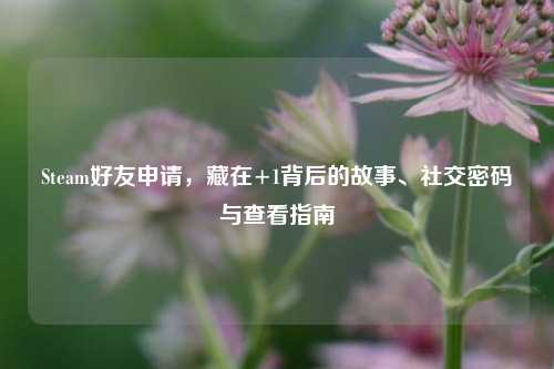 Steam好友申请,藏在+1背后的故事、社交密码与查看指南
