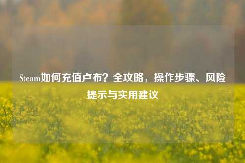 Steam如何充值卢布?全攻略,操作步骤、风险提示与实用建议