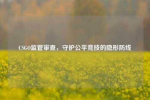 CSGO监管审查,守护公平竞技的隐形防线