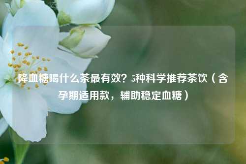 降血糖喝什么茶最有效?5种科学推荐茶饮(含孕期适用款,辅助稳定血糖)