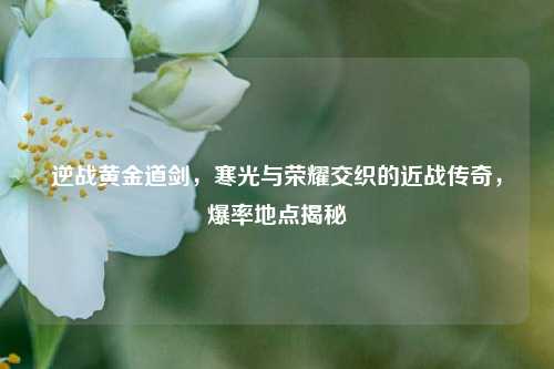 逆战黄金道剑,寒光与荣耀交织的近战传奇,爆率地点揭秘
