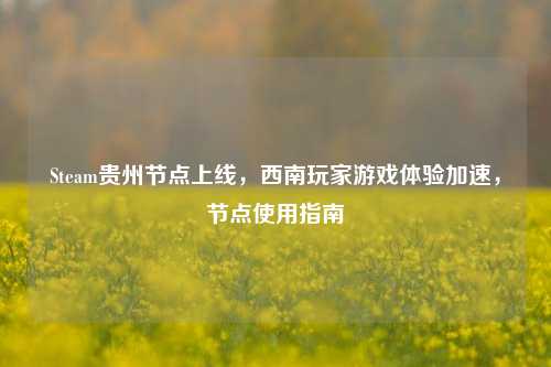 Steam贵州节点上线,西南玩家游戏体验加速,节点使用指南
