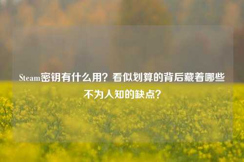Steam密钥有什么用?看似划算的背后藏着哪些不为人知的缺点?