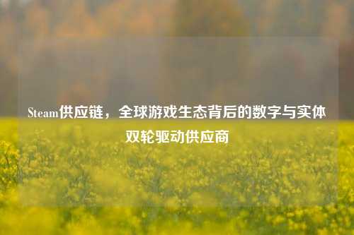 Steam供应链,全球游戏生态背后的数字与实体双轮驱动供应商
