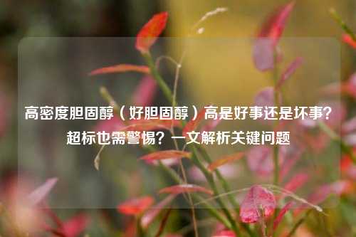 高密度胆固醇(好胆固醇)高是好事还是坏事?超标也需警惕?一文解析关键问题