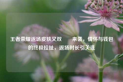 王者荣耀返场皮肤又双叒叕来袭,情怀与钱包的终极拉扯,返场时长引关注