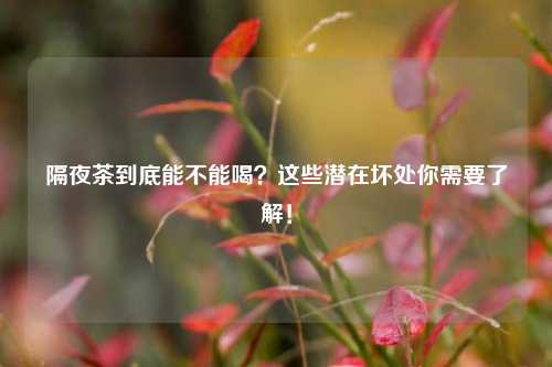 隔夜茶到底能不能喝？这些潜在坏处你需要了解！