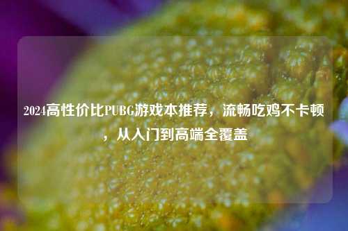 2024高性价比PUBG游戏本推荐,流畅吃鸡不卡顿,从入门到高端全覆盖