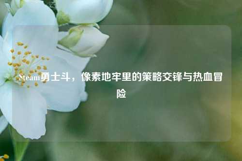 Steam勇士斗,像素地牢里的策略交锋与热血冒险