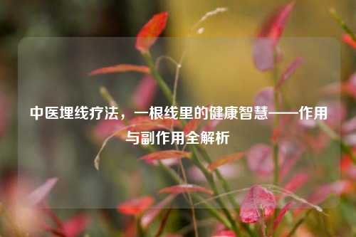中医埋线疗法,一根线里的健康智慧——作用与副作用全解析