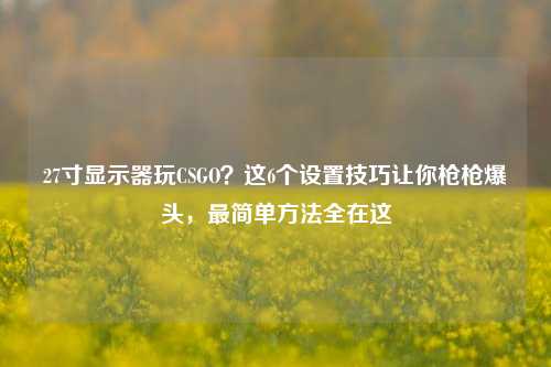 27寸显示器玩CSGO?这6个设置技巧让你枪枪爆头,最简单 *** 全在这