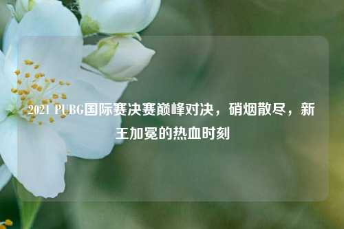 2021 PUBG国际赛决赛巅峰对决,硝烟散尽,新王加冕的热血时刻