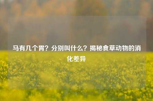 马有几个胃?分别叫什么?揭秘食草动物的消化差异
